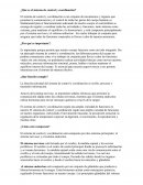 ¿Qué es el sistema de control y coordinación?