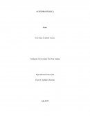 Taller auditoria pública