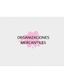 Economia empresarial. Organizaciones mercantiles