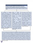 El paradigma de la complejidad