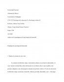 Análisis de los paradigmas de la psicología del desarrollo