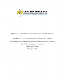 Adaptaciones neuromusculares al entrenamiento contra resistencia