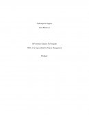Liderazgo de Equipos Caso Práctico 1