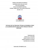 Estudio de factibilidad técnica económica para la elaboración de una planta productora de raticida