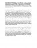 Esquema present simple