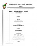 Práctica 19- intercambiador de tubos concentricos
