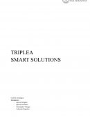 Análisis de empresa Triplea smart solutions
