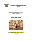 Tipos de normas