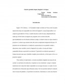 Práctica péndulo simple (longitud vs tiempo)