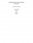 Empresa producción de Audio