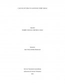 Caso de estudio en sanciones tributarias