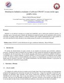 Modelación hidráulica mediante el software EPANET en una red de agua potable mixta
