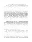 Especias en el Siglo XXI: Un Análisis Integral de la Industria Global