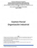 Examen Parcial Organización industrial (s/r)