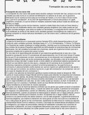 Formación de una nueva vida