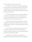 Hacia un Mundo en Paz: Reflexiones sobre la Paz Mundial