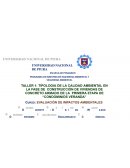 Tipologia de la calidad ambiental en la fase de construcción de viviendas de concreto armado de la primera etapa de “condominios veranda”