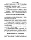 Sistema tribológico