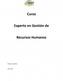 Gestión de las Organizaciones TP Nº 4