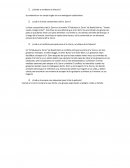 El fabuloso Sr. Zorro de Roald Dahl