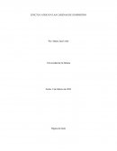 Efecto latigo en las cadenas de suministro