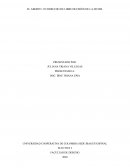 El aborto: un derecho de libre decisión de la mujer