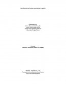 Identificando los factores que afectan la gestión empresarial