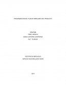 Programación del plan de mercadeo del producto