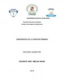 Componentes de la atención primaria