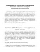 Optimización de los Recursos Públicos como medida de Eficiencia en los Gobiernos Municipales