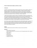 Práctica #2: Determinación de lípidos en alimentos con etanol