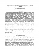 Determinar las problemáticas en el espacio público