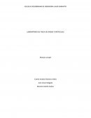 Laboratorio de fisica de ondas y particulas