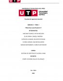 Sistemas de gestion de calidad avance 5