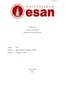 Trabajo infantil en el Perú