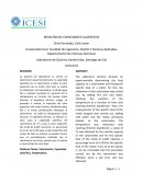 Medición de capacidades calorificas