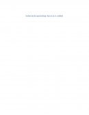 Gurús de la calidad