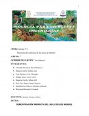 Informe N° 8 Demostración indirecta de las leyes de Mendel