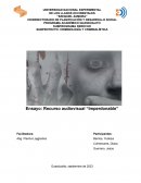 Recurso audiovisual “Imperdonable”
