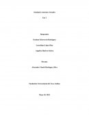 Seminario entornos virtuales