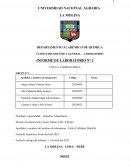 Informe 3 Termoquímica