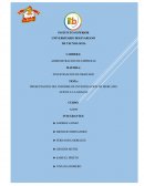 Presentación del informe de investigación de mercado