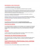 Enfermería como profesión