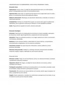 Caractersiticas de tus dimensiones; a nivel fisico, psicologico y social