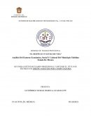 Análisis Del Entorno Económico, Social Y Cultural Del Municipio Tultitlan Estado De México