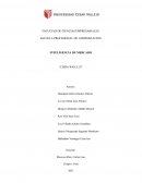 Inteligencia de mercado “Chifa Wang Lui”