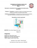 Descripción e interpretación de los resultados del problema paramétrico y no paramétrico