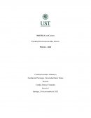 Informe Psicopatología Del Adulto