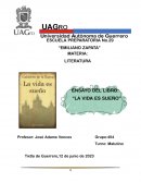 Ensayo del libro la vida es sueño