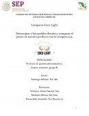 Plan de negocio Lámparas Coco-Light